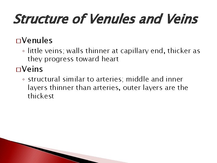Structure of Venules and Veins � Venules ◦ little veins; walls thinner at capillary