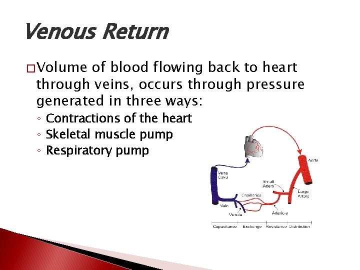 Venous Return � Volume of blood flowing back to heart through veins, occurs through