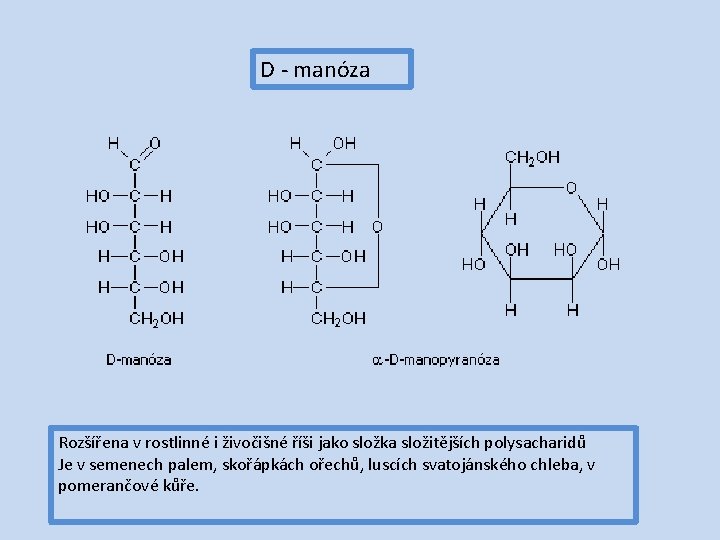 D - manóza Rozšířena v rostlinné i živočišné říši jako složka složitějších polysacharidů Je