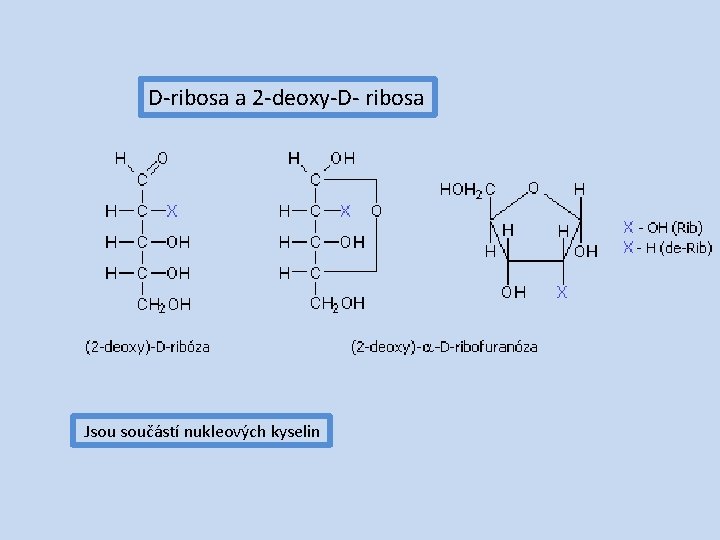 D-ribosa a 2 -deoxy-D- ribosa Jsou součástí nukleových kyselin 