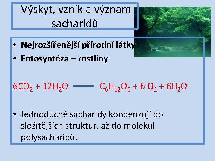 Výskyt, vznik a význam sacharidů • Nejrozšířenější přírodní látky • Fotosyntéza – rostliny 6