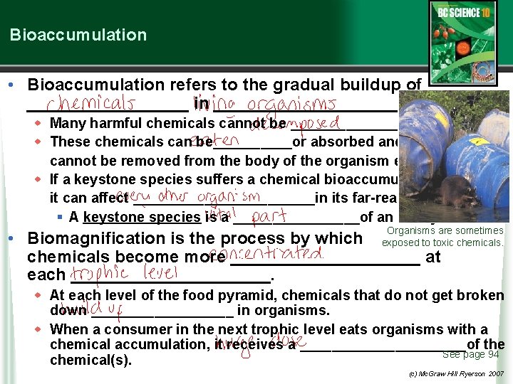 Bioaccumulation • Bioaccumulation refers to the gradual buildup of _________ in ____________. w Many