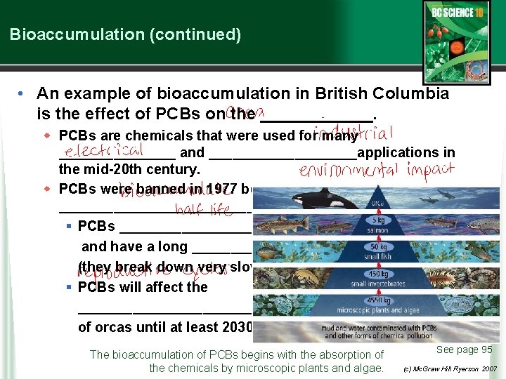 Bioaccumulation (continued) • An example of bioaccumulation in British Columbia is the effect of