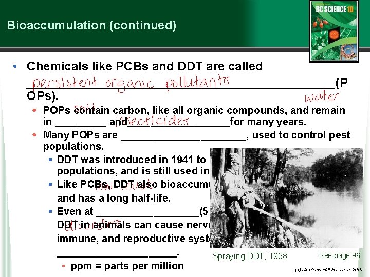 Bioaccumulation (continued) • Chemicals like PCBs and DDT are called _______________________(P OPs). w POPs