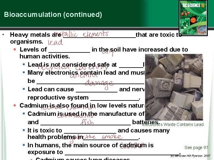 Bioaccumulation (continued) • Heavy metals are ___________that are toxic to organisms. w Levels of