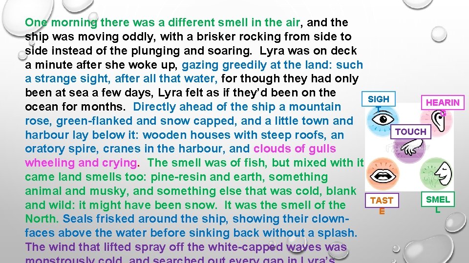 One morning there was a different smell in the air, and the ship was