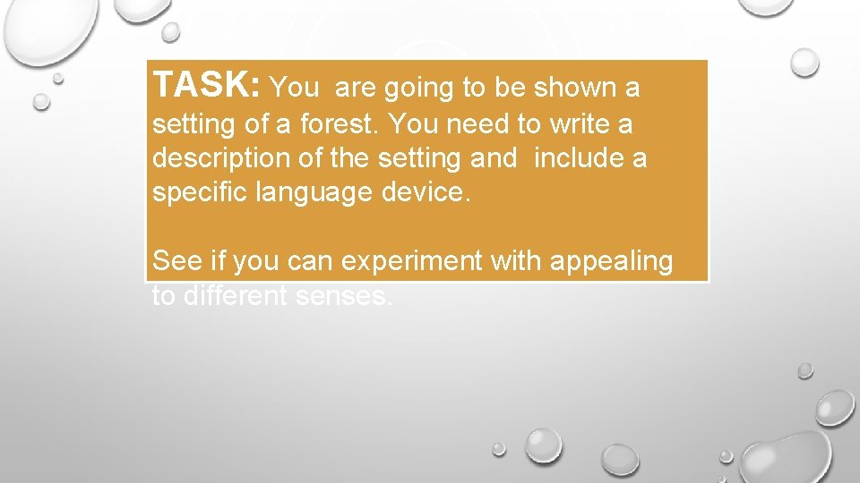 TASK: You are going to be shown a setting of a forest. You need