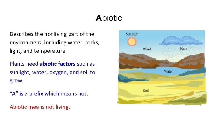 Abiotic Describes the nonliving part of the environment, including water, rocks, light, and temperature