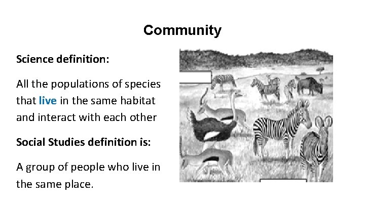 Community Science definition: All the populations of species that live in the same habitat