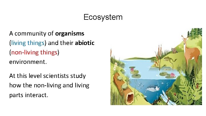 Ecosystem A community of organisms (living things) and their abiotic (non-living things) environment. At