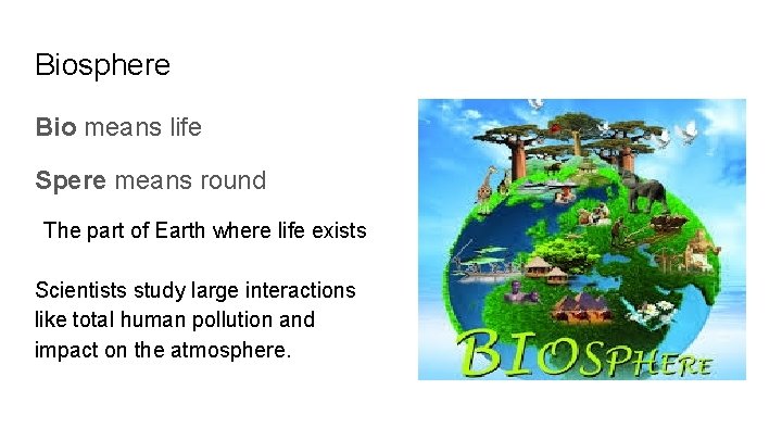 Biosphere Bio means life Spere means round The part of Earth where life exists