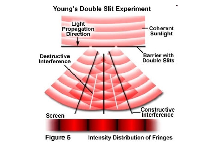 WaveParticle Duality The Legacy of Max Planck Before