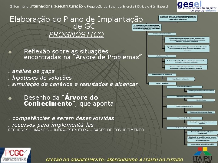 II Seminário Internacional: Reestruturação e Regulação do Setor de Energia Elétrica e Gás Natural