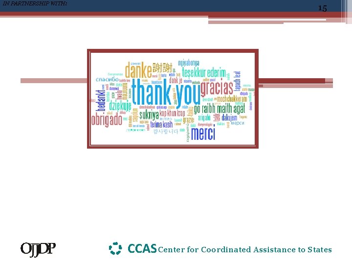 IN PARTNERSHIP WITH: 15 CCAS Center for Coordinated Assistance to States 
