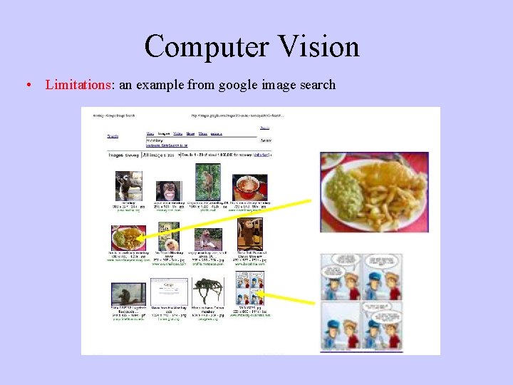 Computer Vision • Limitations: an example from google image search 