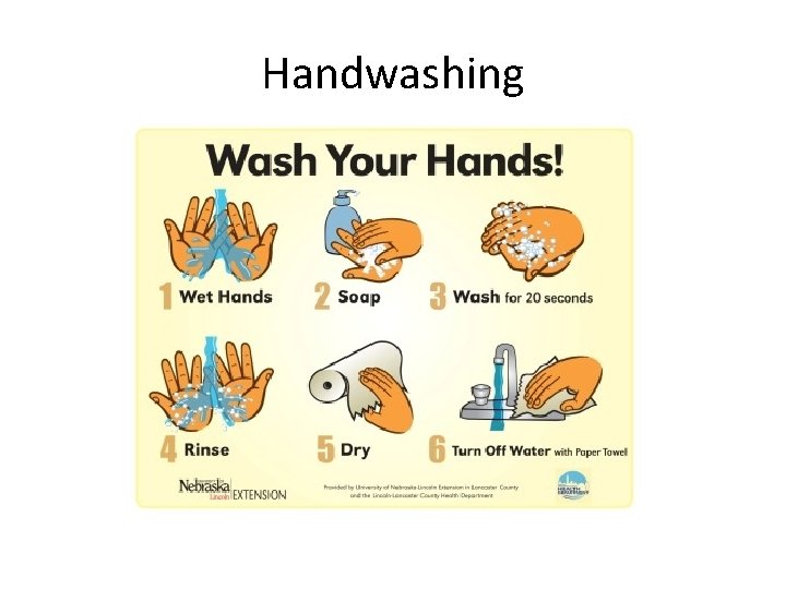 Handwashing 