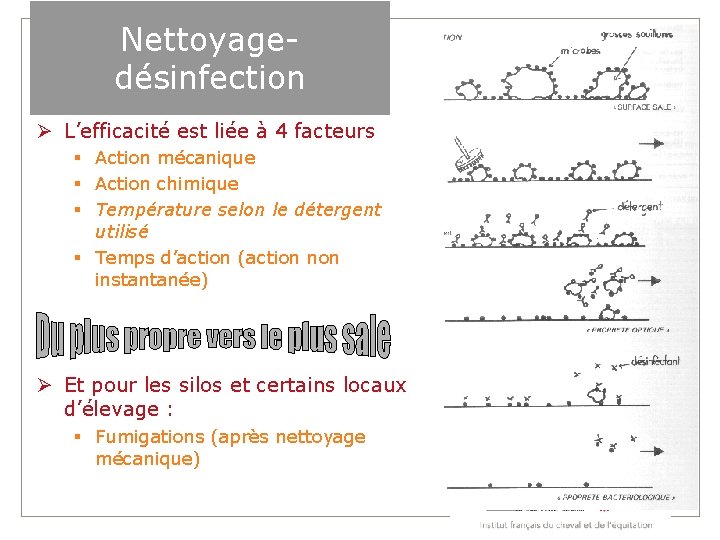 Nettoyagedésinfection L’efficacité est liée à 4 facteurs Action mécanique Action chimique Température selon le