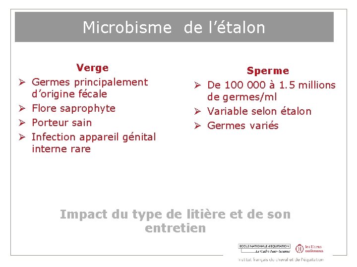 Microbisme de l’étalon Verge Germes principalement d’origine fécale Flore saprophyte Porteur sain Infection appareil
