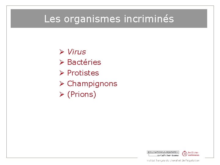 Les organismes incriminés Virus Bactéries Protistes Champignons (Prions) 