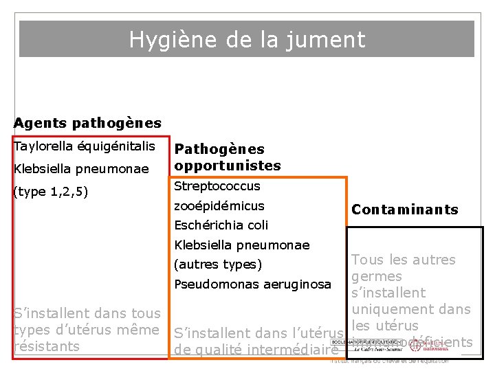 Hygiène de la jument Agents pathogènes Taylorella équigénitalis Klebsiella pneumonae Pathogènes opportunistes (type 1,