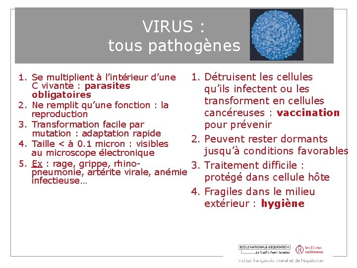 VIRUS : tous pathogènes 1. Détruisent les cellules 1. Se multiplient à l’intérieur d’une