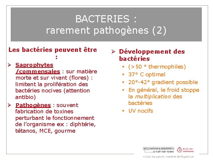 BACTERIES : rarement pathogènes (2) Les bactéries peuvent être : Saprophytes /commensales : sur