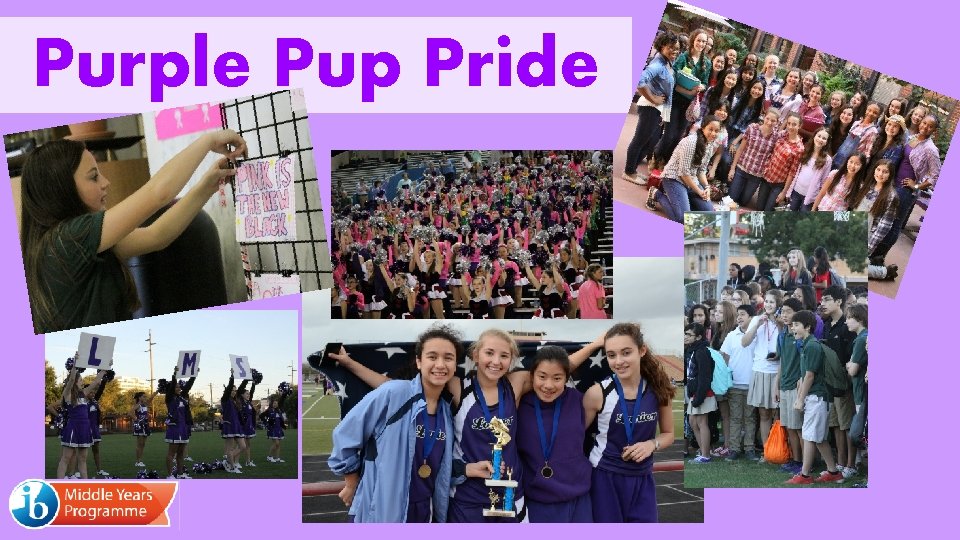 Purple Pup Pride 