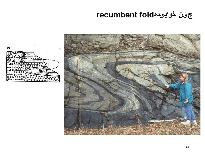 recumbent fold چیﻦ ﺧﻮﺍﺑیﺪﻩ 14 recumbent fold چیﻦ ﺧﻮﺍﺑیﺪﻩ 14