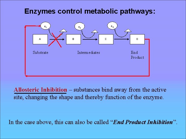 Enzymes control metabolic pathways: e 1 A Substrate e 3 e 2 B C