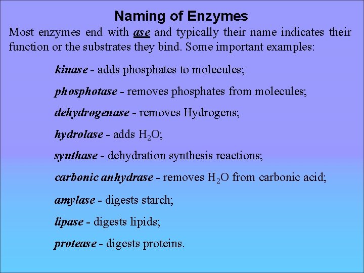 Naming of Enzymes Most enzymes end with ase and typically their name indicates their