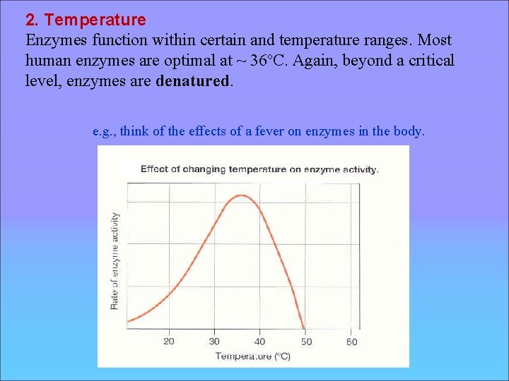 2. Temperature Enzymes function within certain and temperature ranges. Most human enzymes are optimal