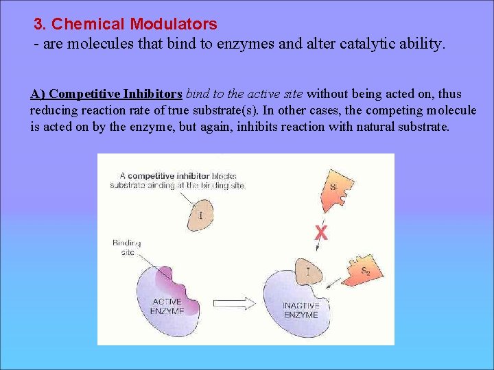 Enzymes are Proteins that act as Biological Catalyst