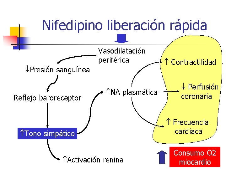 Nifedipino liberación rápida Vasodilatación periférica Presión sanguínea Reflejo baroreceptor NA plasmática Tono simpático Activación