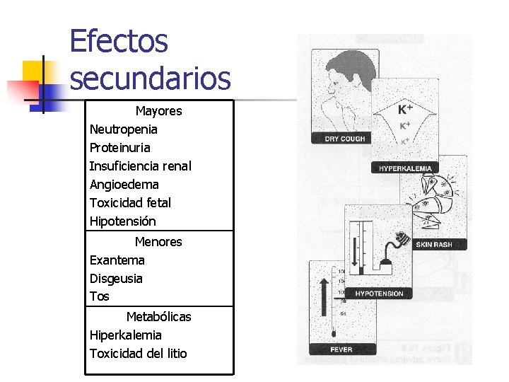 Efectos secundarios Mayores Neutropenia Proteinuria Insuficiencia renal Angioedema Toxicidad fetal Hipotensión Menores Exantema Disgeusia