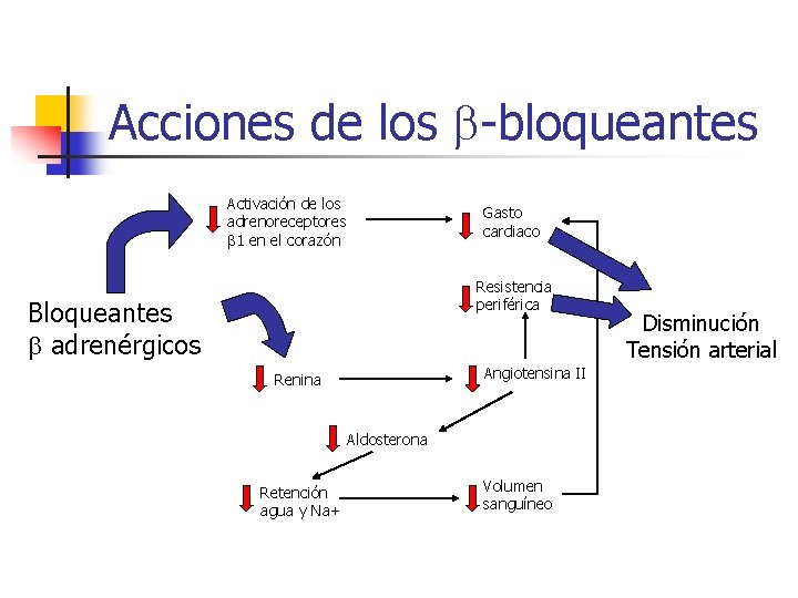 Acciones de los b-bloqueantes Activación de los adrenoreceptores b 1 en el corazón Gasto