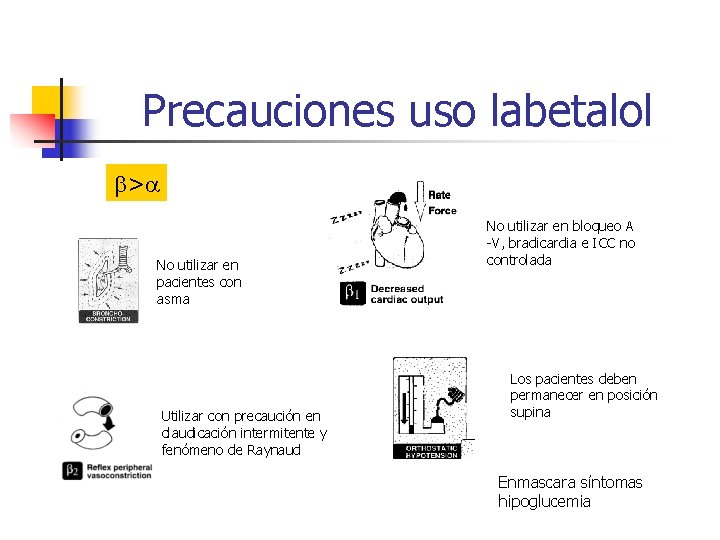 Precauciones uso labetalol b>a No utilizar en pacientes con asma Utilizar con precaución en