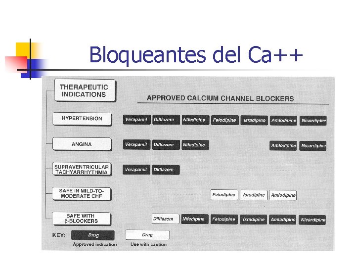 Bloqueantes del Ca++ 