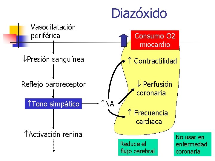 Diazóxido Vasodilatación periférica Consumo O 2 miocardio Presión sanguínea Contractilidad Reflejo baroreceptor Perfusión coronaria