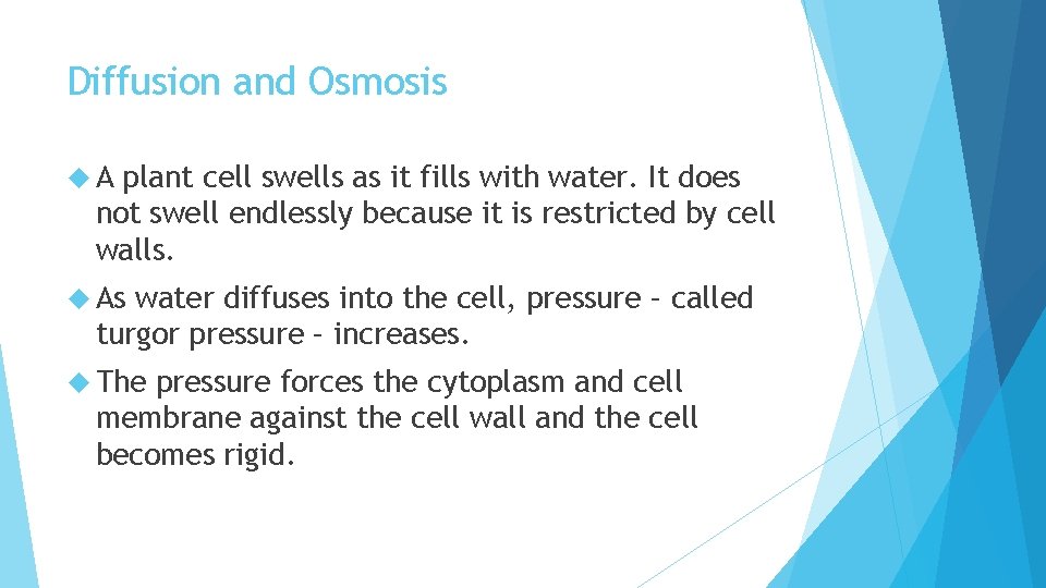 Diffusion and Osmosis A plant cell swells as it fills with water. It does