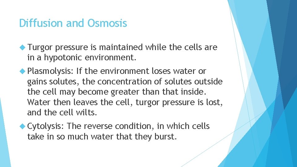 Diffusion and Osmosis Turgor pressure is maintained while the cells are in a hypotonic