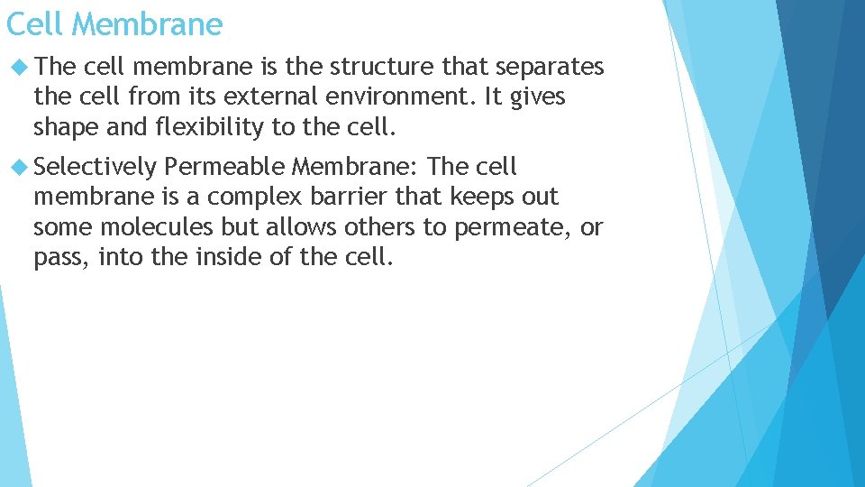 Cell Membrane The cell membrane is the structure that separates the cell from its