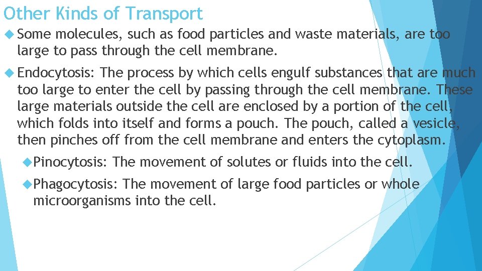 Other Kinds of Transport Some molecules, such as food particles and waste materials, are