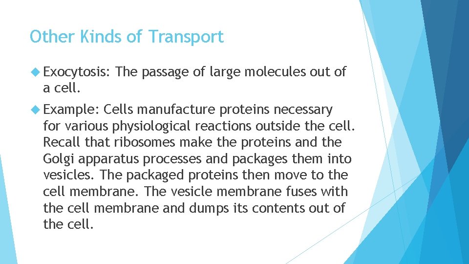 Other Kinds of Transport Exocytosis: The passage of large molecules out of a cell.