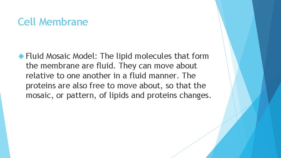 Cell Membrane Fluid Mosaic Model: The lipid molecules that form the membrane are fluid.