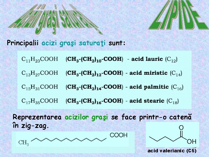 Principalii acizi graşi saturaţi sunt: Reprezentarea acizilor graşi se face printr-o catenă în zig-zag.