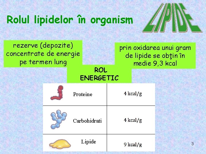 Rolul lipidelor în organism rezerve (depozite) concentrate de energie pe termen lung ROL ENERGETIC