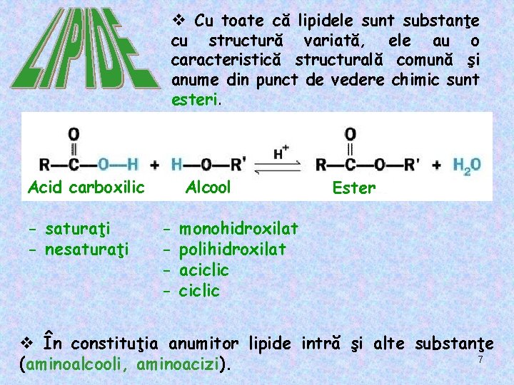 v Cu toate că lipidele sunt substanţe cu structură variată, ele au o caracteristică