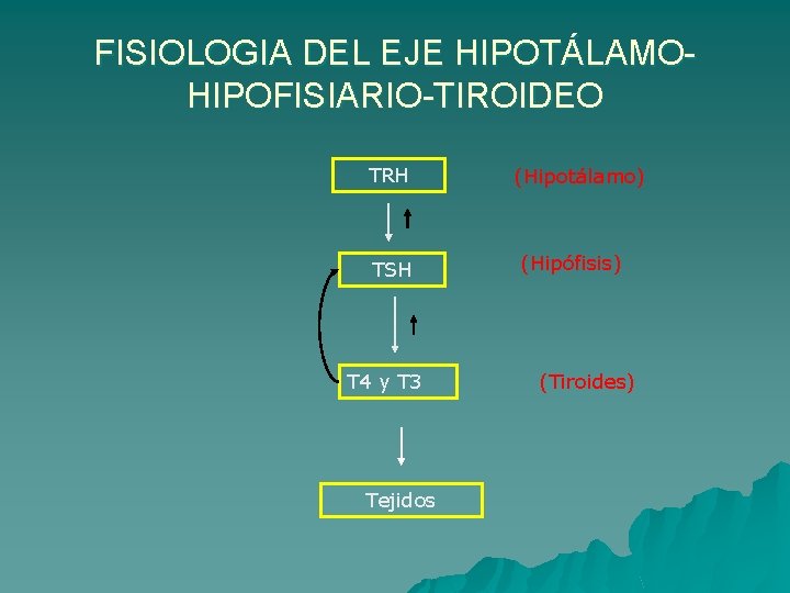 FISIOLOGIA DEL EJE HIPOTÁLAMOHIPOFISIARIO-TIROIDEO TRH TSH T 4 y T 3 Tejidos (Hipotálamo) (Hipófisis)