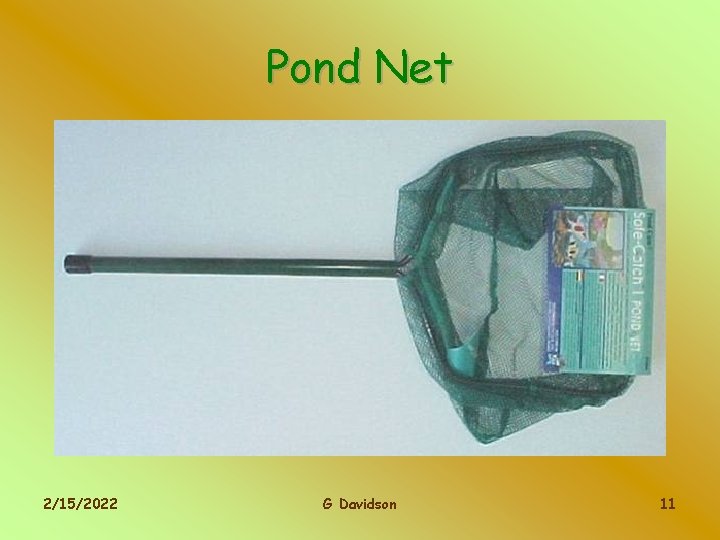 Pond Net 2/15/2022 G Davidson 11 