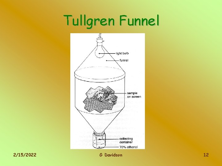 Tullgren Funnel 2/15/2022 G Davidson 12 